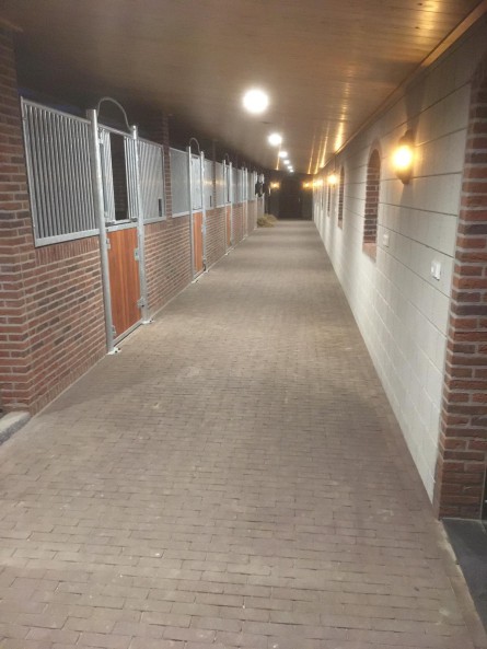 PHOTO-2019-11-21-17-08-57